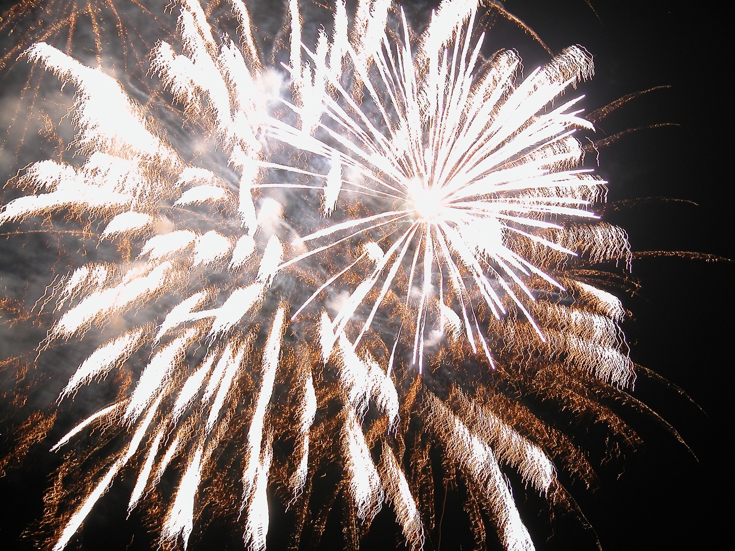 Tessin.ch: 1. August in 6612 Ascona 