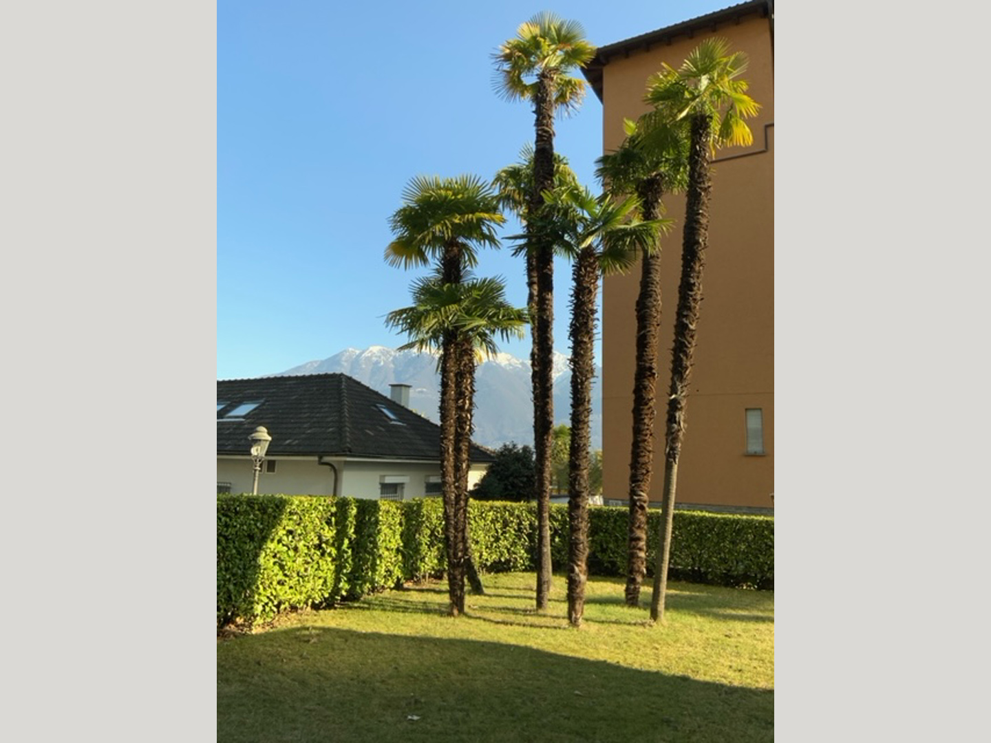 Tessin.ch: tessin ferienwohnung ferien im tessin unterkunft im tessin